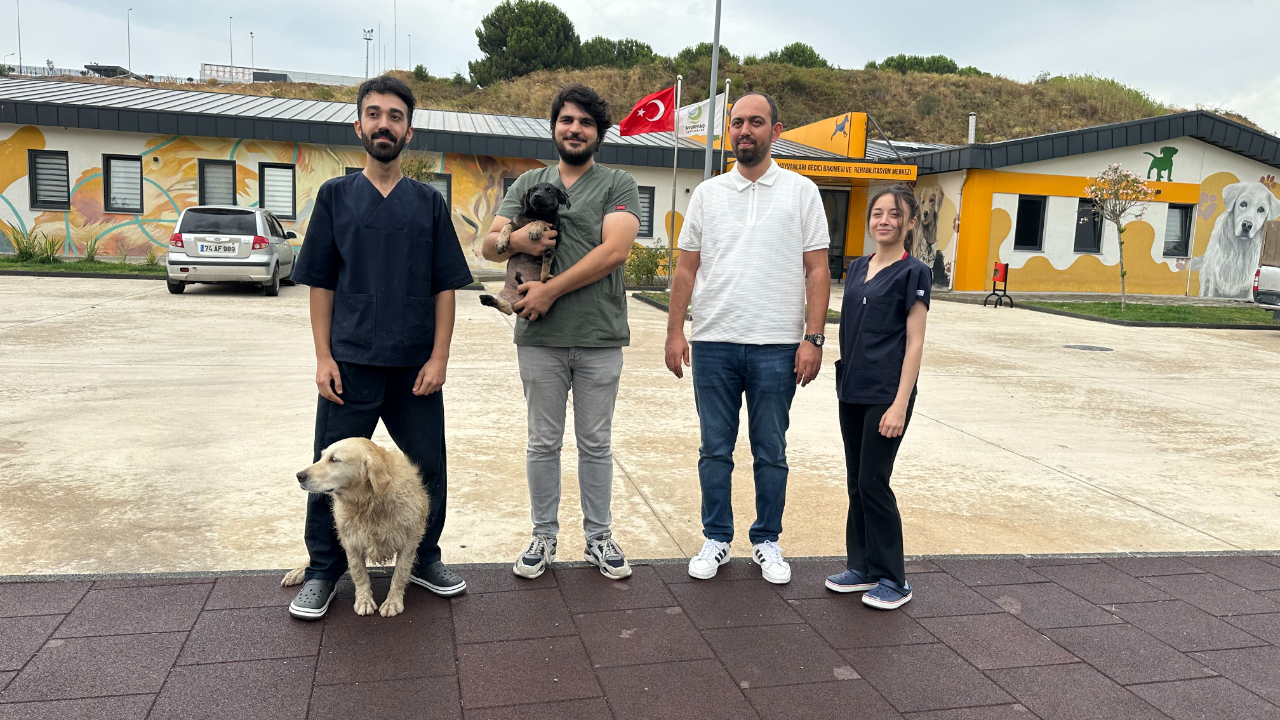 Zifte bulanmıştı, rehabilitasyon merkezinde yaşama tutundu