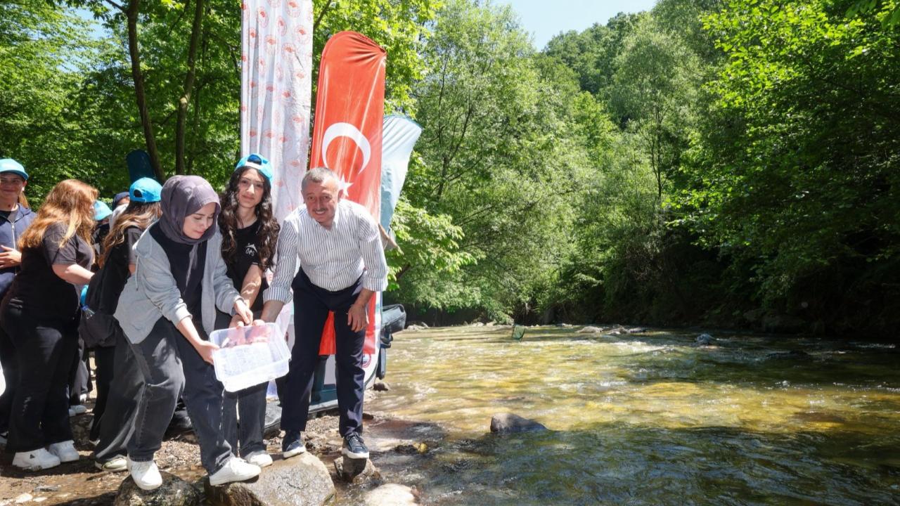 Çevre dostu politikalarla örnek kent: Kocaeli