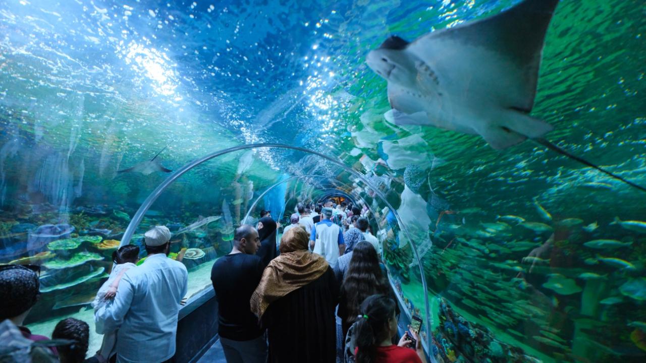 Körfez Aqua, açılışı ile şehirde yankı uyandırdı