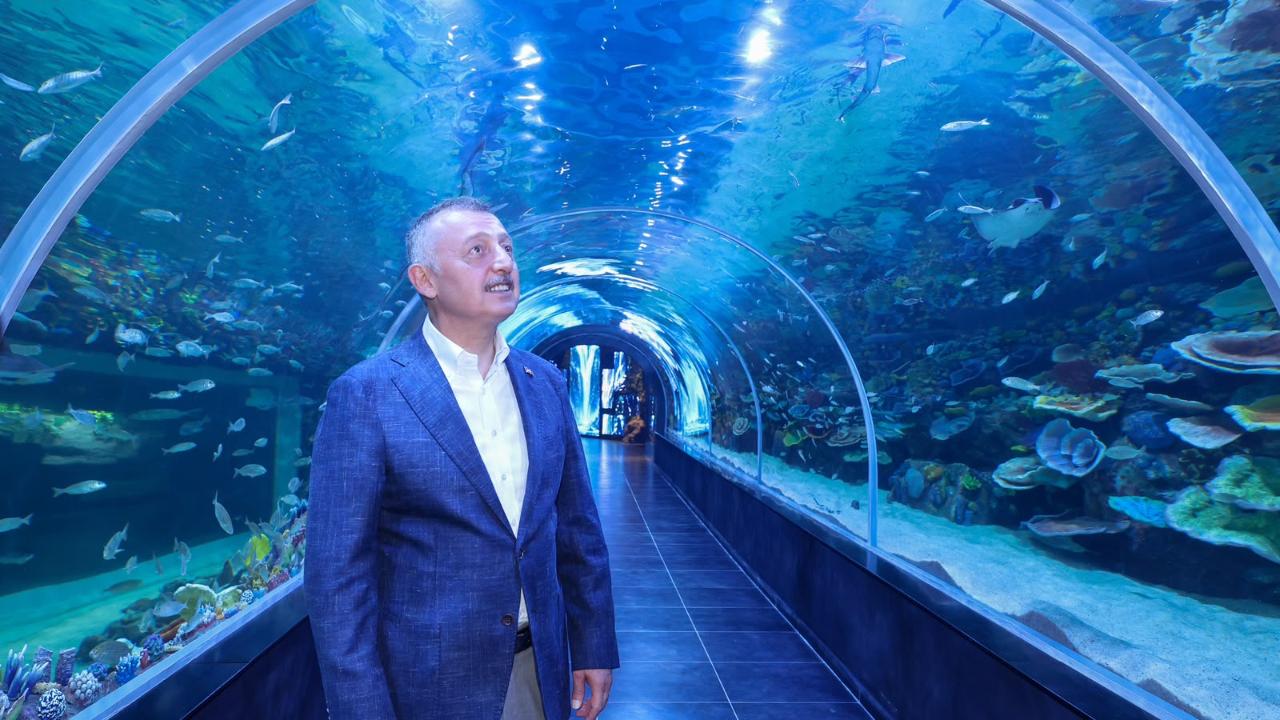 Körfez Aqua Kıtalar Akvaryumu kapılarını açıyor