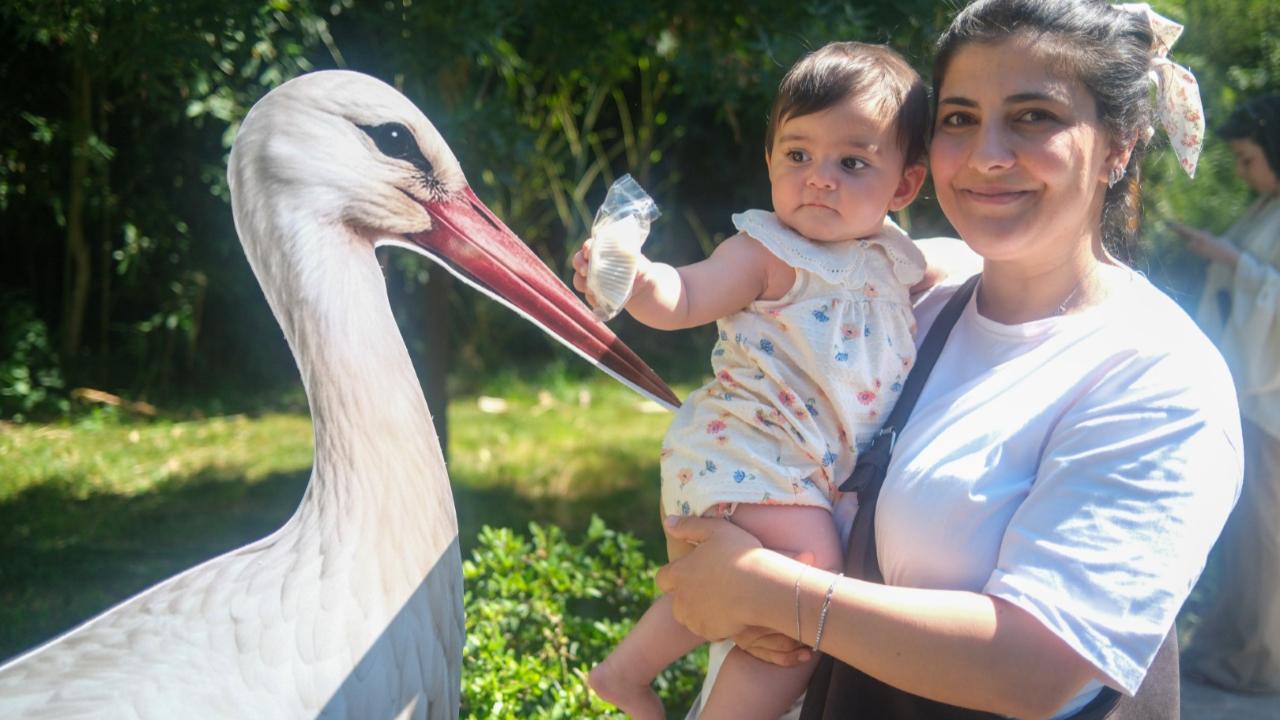 Ormanya’da yavru leylek Atlas’a sürpriz kutlama