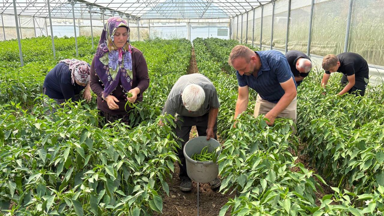 Büyükşehir’in sera desteği üretime güç kattı