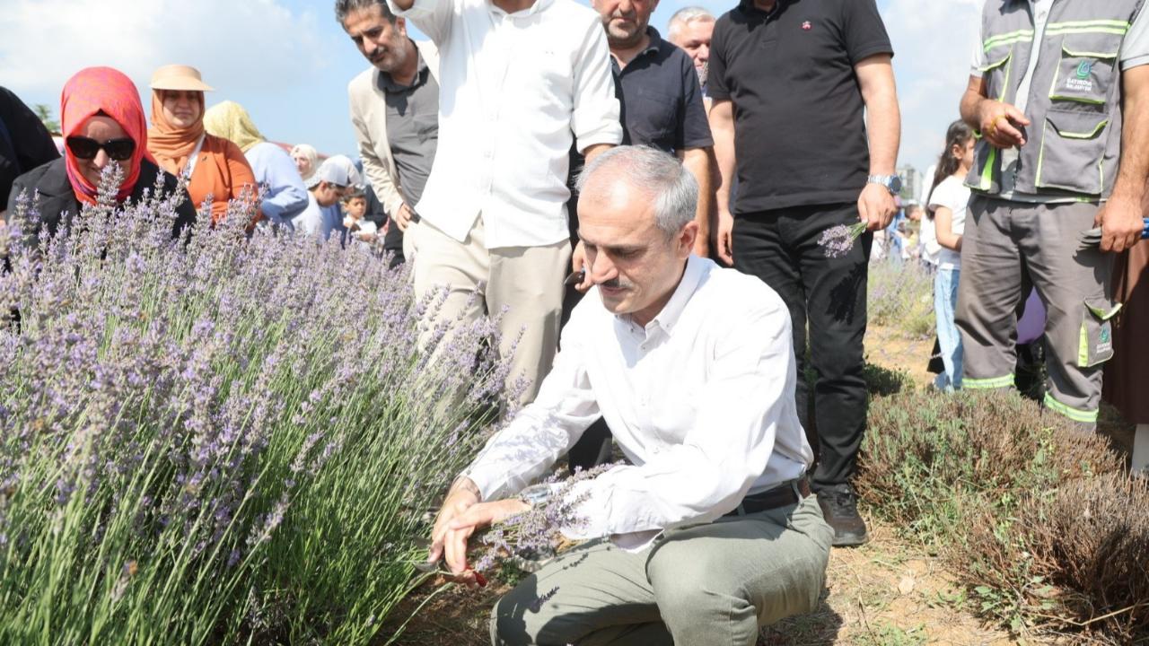 Çayırovalılar Lavanta Hasadı Şenliği’nde bir araya geldi